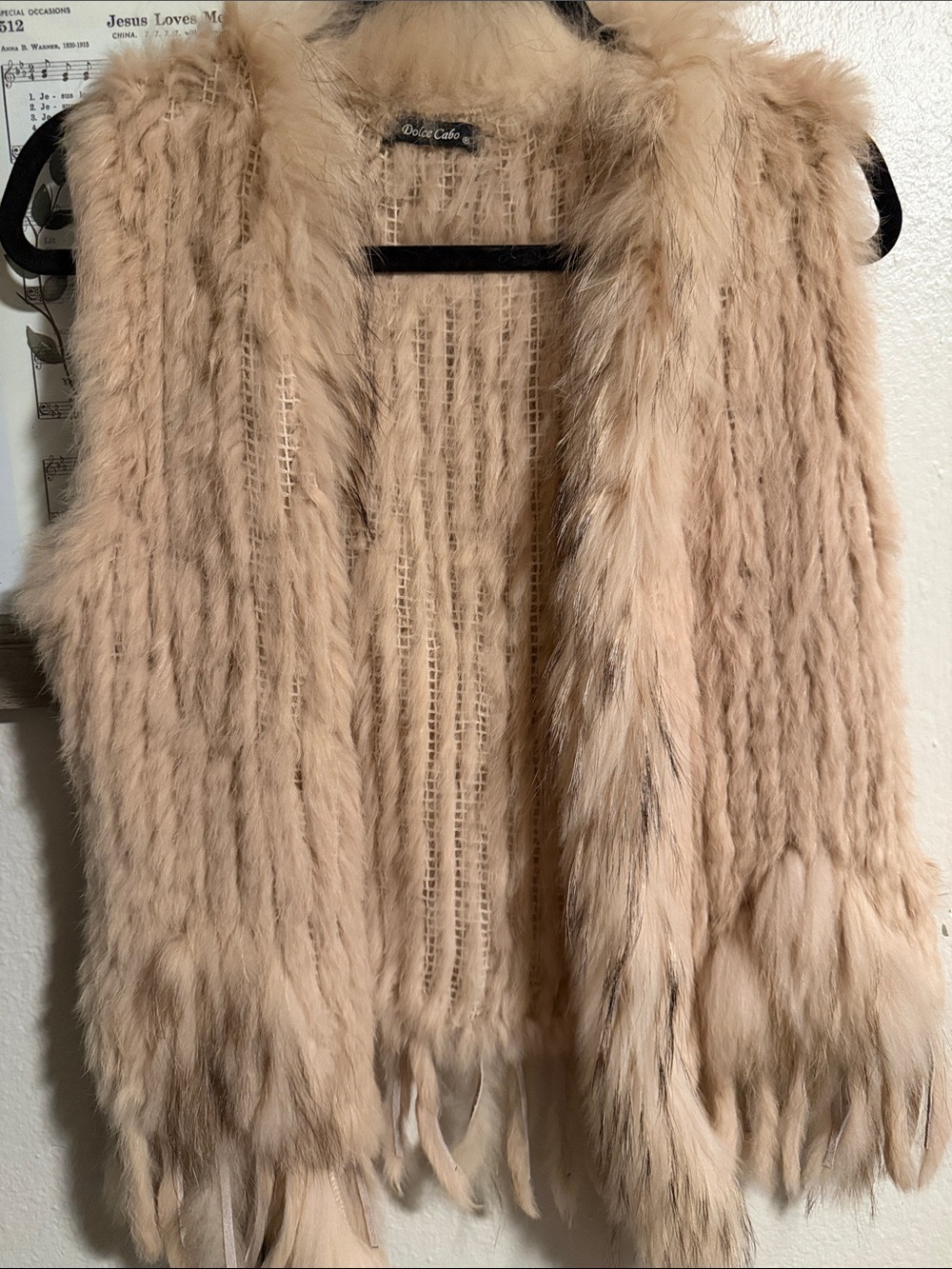 Dolce Cabo Plush Cream Faux Fur Teddy Vest